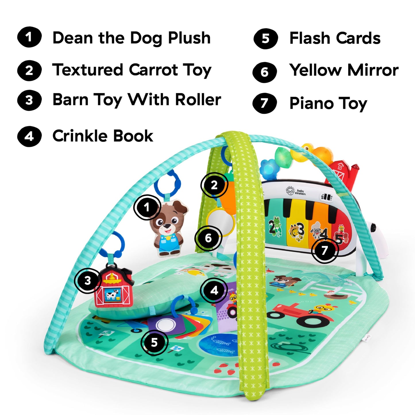 Baby Einstein Farm Explorers 4-in-1 Kickin’ Tunes Musical Meadow Music & Language Discovery Gym, Ages 0 Months and Up