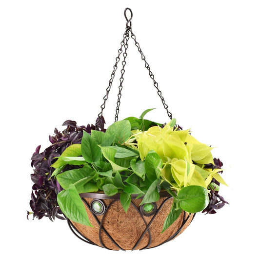 Arcadia CB02 Emerald Series Round Hanging Basket Planters, 16-Inch