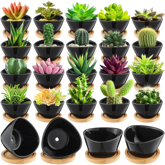 Domensi 24 Pack Succulent Planter Pots 3 Inch Small Plant Pots Mini Ceramic Succulent Planter Holder with Drainage Holes and Bamboo Saucers(Black)
