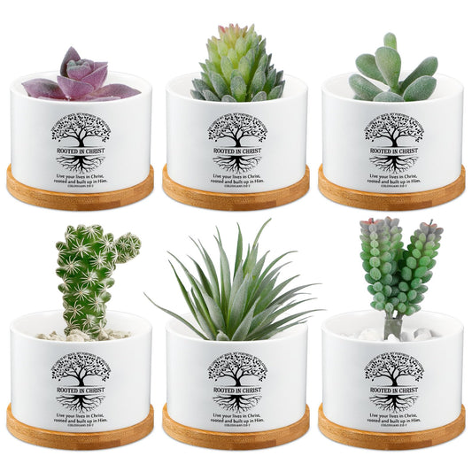 Sieral 6 Pcs Fathers Day Christian Rooted in Christ Small Succulent Pots with Bamboo Tray - 3.15 Inches Mini Ceramic Succulent Planter for Dad Religious Spiritual Bible Gifts, Plants Not Included