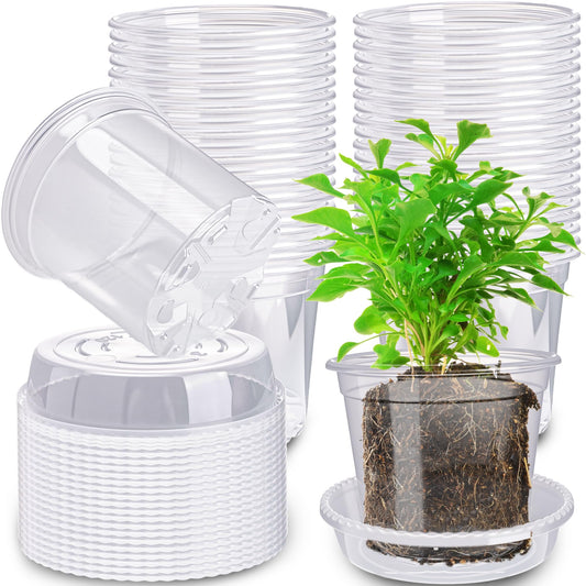 Plukeen 72 Pcs/36 Set 4 Inches Transparent Plastic Flower Pot with Trays Drainage Holes for Small Indoor Plants Seedling Starter Various Plants