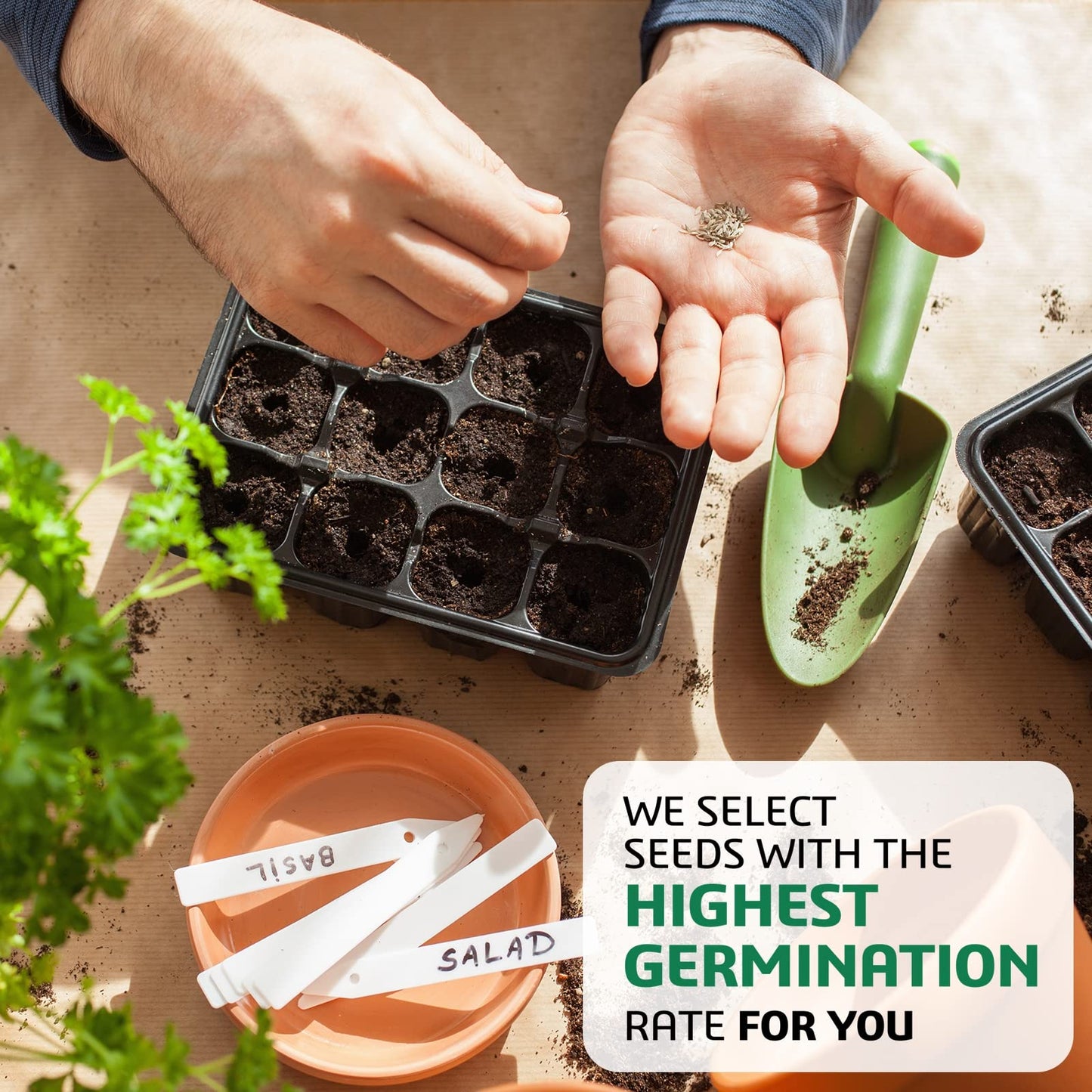 Meekear 10 Kit Non-GMO Growing into Thyme, Lavender, Chamomile, Dill, Chives, Cilantro, Rosemary, Basil, Parsley, Sage Indoor/Outdoor for Kitchen Windowsill Gardening Gift