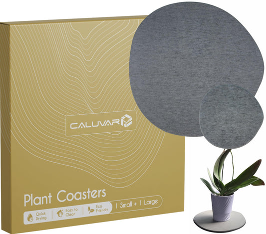 Stone Plant Saucer Set 1 Small 5 in + 1 Large 11.5 in, Absorbent Diatomaceous Earth Plant Tray for Indoors, Plant Pot Saucer with Silicone Feet, Grey Slate Water Absorbing Planter Tray