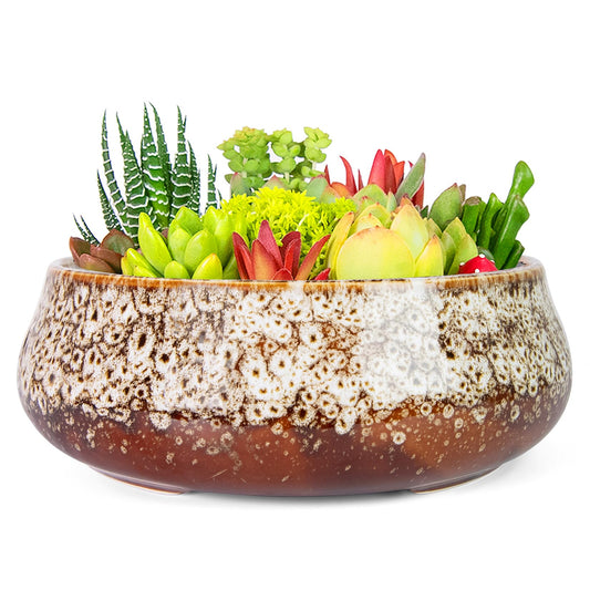 ARTKETTY Succulent Pots - 8 Inch Plant Pot, Large Bonsai Pots with Drainage, Ceramic Planters for Indoor Outdoor Plants, Round Shallow Cactus Flower Plant Container Bowl Decorative Home Garden