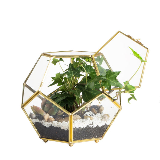 NCYP Glass Geometric Terrarium Planter with Door and Foot, Pentagon Ball Shape Glass Terrarium for Fern, Succulents, Small Plants, Gold, 6.8 x 6.8 x 5.9 inches (No Plants)