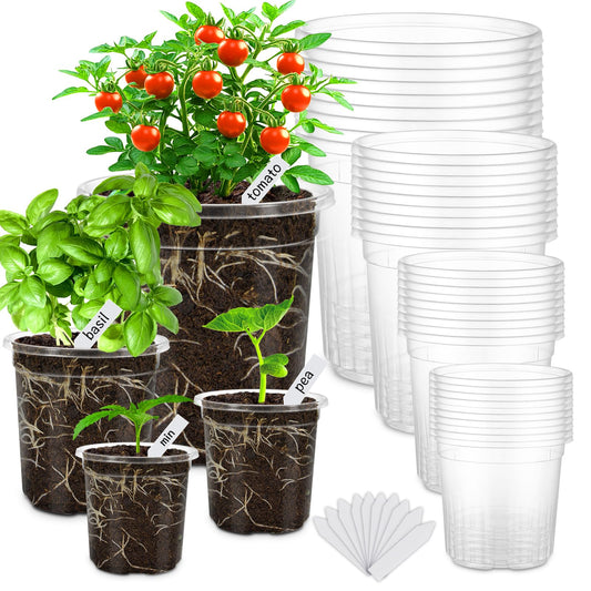 WandaQueen 36 Packs 6.5/5/4/3.5 Inch Reinforced Clear Nursery Pots with Drainage Hole, Variety Pack High Transparency Plastic Seedling Plant Pot with 20 Labels