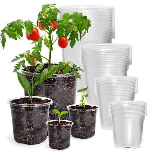 Bluepro 36 Packs 7/5/4/3.5 Inch Reinforced Clear Nursery Pots with Drainage Hole, Transparent Variety Pack Plastic Plant Pot Seedling Planter for Vegetable Propagation, Root Cutting, Seed Starting