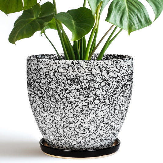 EPFamily Ceraimc Plant Pot - 8 Inch Planter with Drainage and Saucer, Modern Round Planter, Flower Pot for Indoor Outdoor Plants, Home Room Garden Apartment Decor, Gifts for Plant Lovers, White-Black