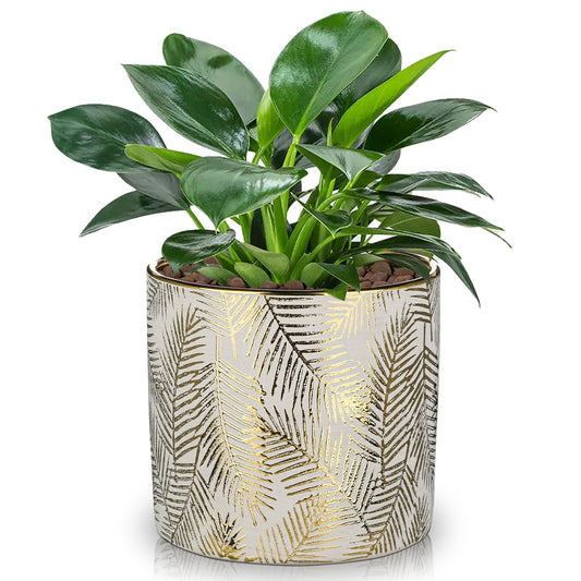 Oairse Small Ceramic Pot for Indoor Plants, 5.3 inch Plant Pot with Drainage Hole Decorative Texture Gold Planter Indoor Outdoor Flower Pots for Succulent Snake Plant Pothos Orchid