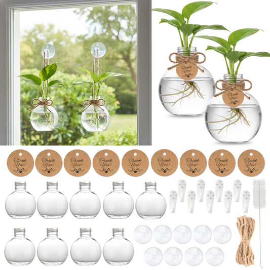 GioXtra Plastic Window Propagation Station - 9Pack Hanging Plant Propagation Vase Clear Jar with Hook Thank You Tag Clean Brush for Plant Lover Home Office Decor Housewarming Teacher Appreciation Gift