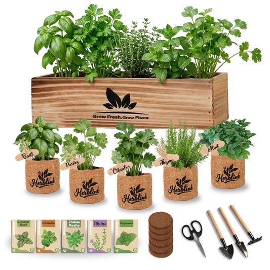 Herblink Indoor Herb Garden Starter Kit, 5 Herb Garden Planter Indoor Kit with Wooden Box Including Genovese Basil, Thyme, Parsley, Mint, Complete Windowsill Growing Gifts Set, Gifts for Mom, Women