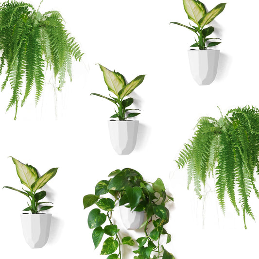 Make Good Virgo Wall Planters (Geometric, Set of 6) - Easy to Water and Install - Lightweight - Design Your Own Vertical Garden - Melamine Plastic