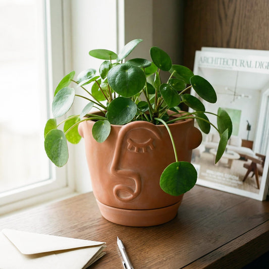 HERDUK 6 Inch Terracotta Abstract Face Planter with Drainage & Saucer – Artistic Ceramic Flower Pot for Indoor Plants, Boho Home Decor, Unique Gift for Plant & Art Lovers