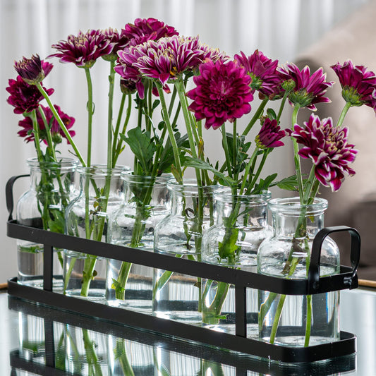 6pc Glass Flower Vase with Metal Holder, Best Vases Set for Home & Table Decor Flowers, Wedding Decorations, Kitchen, Bathroom, Bedroom, Modern Shelf Decor, Terrarium Arrangement
