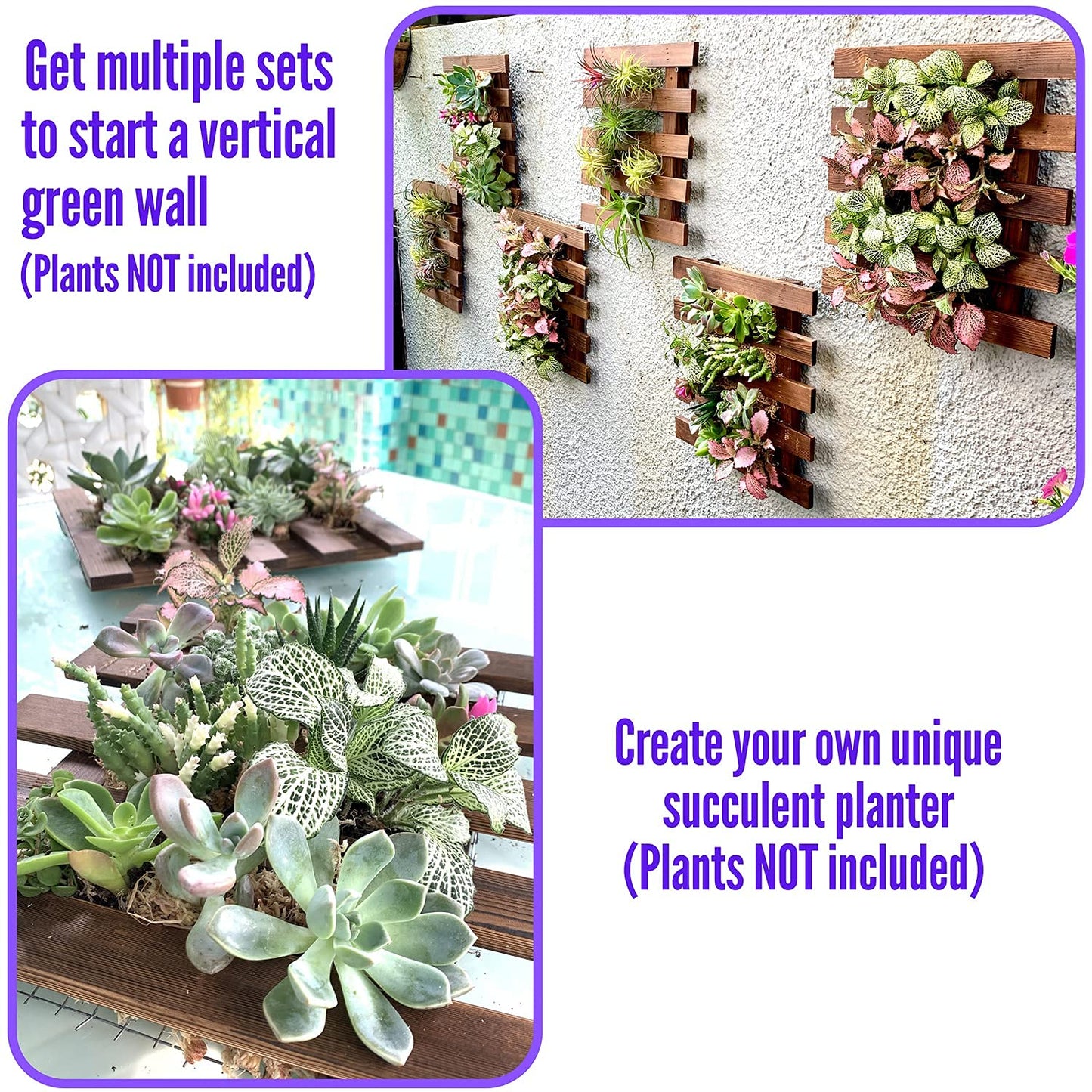 ShopLaLa Wall Planter - 2 Pack Wooden Orchid Planter Frame Display Outdoor Plants, Wall Mount Air Plants Succulent Holder Hanger, Vertical Garden Plant Wall Decor Macetas para Orquideas 15.7" (40cm)