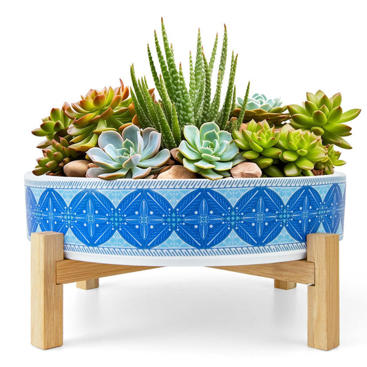 ARTKETTY Succulent Pots - 11 Inch Large Plant Pots Ceramic Bonsai Pots with Drainage Stand, Shallow Succulent Planters for Indoor Plants Decorative Flower Cactus Planter Bowl