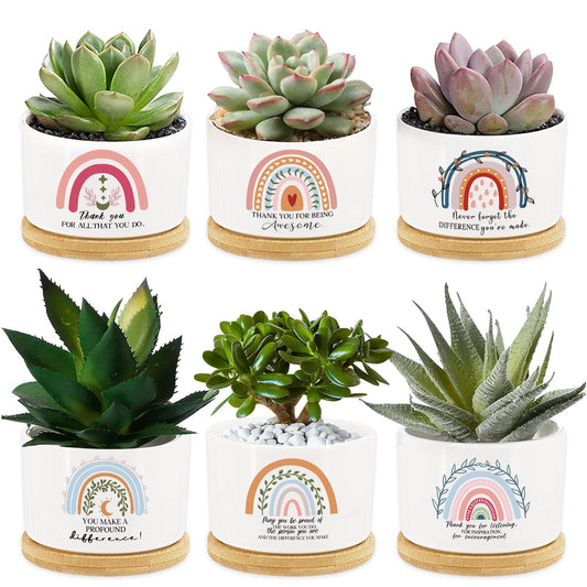 Tarklanda 6Pcs Thank You Teacher Gift Rainbow Succulent Plant Pots Mini Ceramic with Bamboo Tray Flower Pot Planters for Colleague Employee Friend Appreciation Thanksgiving, Plants Not Included
