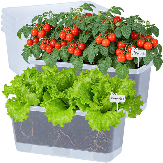 Oliz Window Box Planter 6 Packs, 13.8 Inches Rectangle Flower Pots with Drainage Holes & Trays, Pots for Vegetables, Herbs, Flowers, Garden Windowsill Balcony (Translucent White)