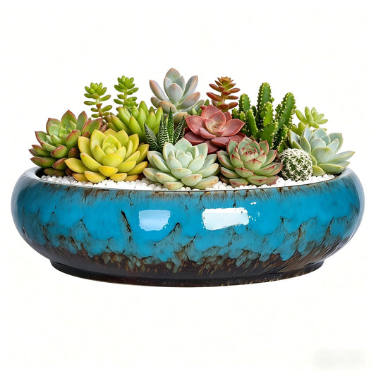 Succulent Pots, 10 Inch, Shallow Planter with Drainage for Succulent Planters, Bonsai Pots & Cactus Pots, Plant Pots, Ceramic Planters for Indoor Plants - Perfect for Home Offie Garden Decor, Blue