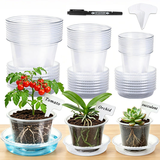 CAKKVDE 36 Pack Clear Nursery Pots with Saucers, 3.5/4/5 Inch High Transparency Plastic Plant Pots with Drainage Holes, Variety Pack for Propagation, Seed Starting, Succulents, Herbs and Vegetables