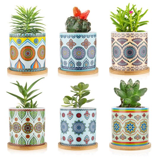 COLOAPT Succulent Plant Pots - 3.1 inch Ceramic Succulent Planter -Cylinder Flower Pots for Cactus with Drainage Hole and Bamboo Tray,6 Pack,Plants not Included