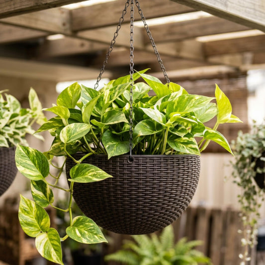 LaLaGreen Hanging Planters for Indoor Plants (11 Inch, 1 Pack) Brown Rattan Style Self-Watering Hanging Flower Pot with Water Level Indicator, Plastic Basket with Metal Chain for Balcony Porch Outdoor
