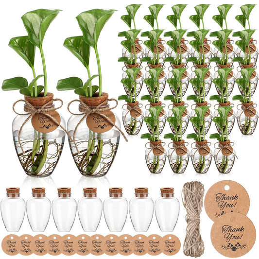 Baderke 24 Pack Big 10oz Plastic Plant Propagation Stations with Hole Lid Planter Vase Clear Propagation Jars with Thank You Tags for Plant Lover Gifts for Women Office Home Garden