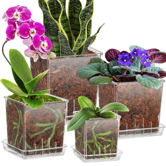 IWNTWY Clear Plant Pots, 6/5/4/3 Inch Set of 4 Flowers Pot with Drainage Holes and Saucer for Indoor Outdoor Plants, Breathable Plastic Planters Orchid Pot for Repotting