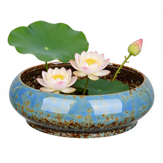 GANAZONO Large Garden Bowl Planter Water Plant Pot Water Lily Pots Hydroponic Planter Bonsai Pots Garden Decorative Cactus Stand Flower Container Daffodil Pot Bowl (Random Color)