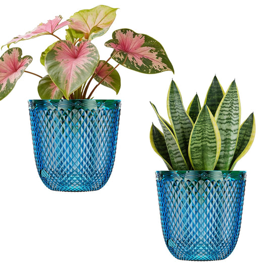 QCQHDU 2 Pack Self Watering Pots, 5.7 Inch Flower Pots with Drainage Holes and Water Filling Port, Plastic Garden Planter for Indoor Outdoor Plants (Klein Blue)