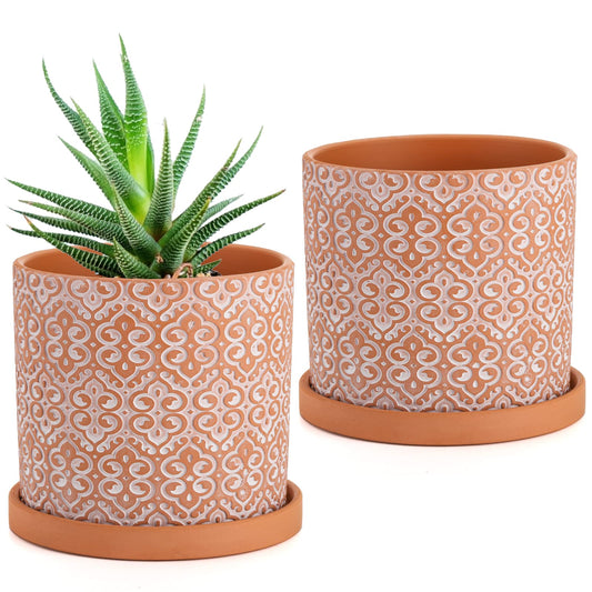 Frcctre 2 Pack Terracotta Pots for Plants, 5 Inch Succulent Planter Pot with Drainage Hole and Saucer, Clay Pottery Pots for Indoor Plants, Cactus, Succulent, Herbs