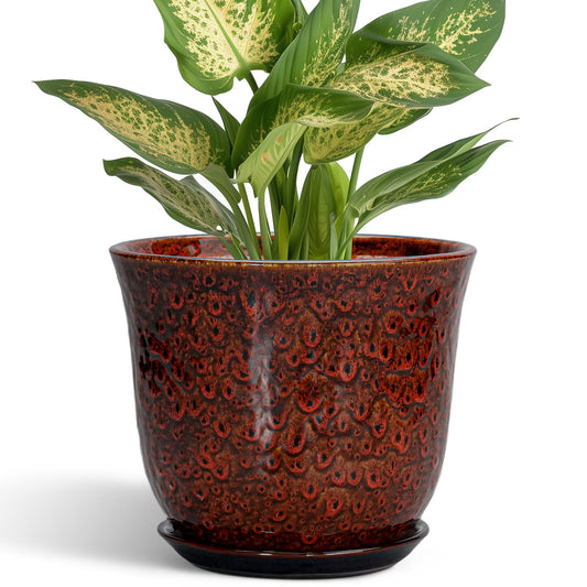 SUNPOTFOR Ceramic Plant Pots - 5.6 Inch Plant Pot Indoor Outdoor, Small Planter with Drainage Hole and Saucer, Round Planter, Orchid Succulent Pots, Garden Room Decor, Gardening Gifts for Women, Red