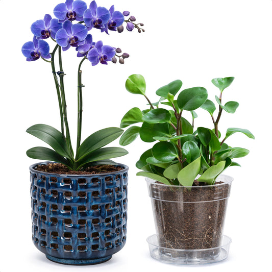 D'vine Dev 4.5 Inch Ceramic Orchid Planter with Lattice Cutout Design, Glazed Cachepot with Clear Nursery Pot & Detachable Saucer for Orchids and Indoor Plants, Pumpkin, 28-A-Z-5