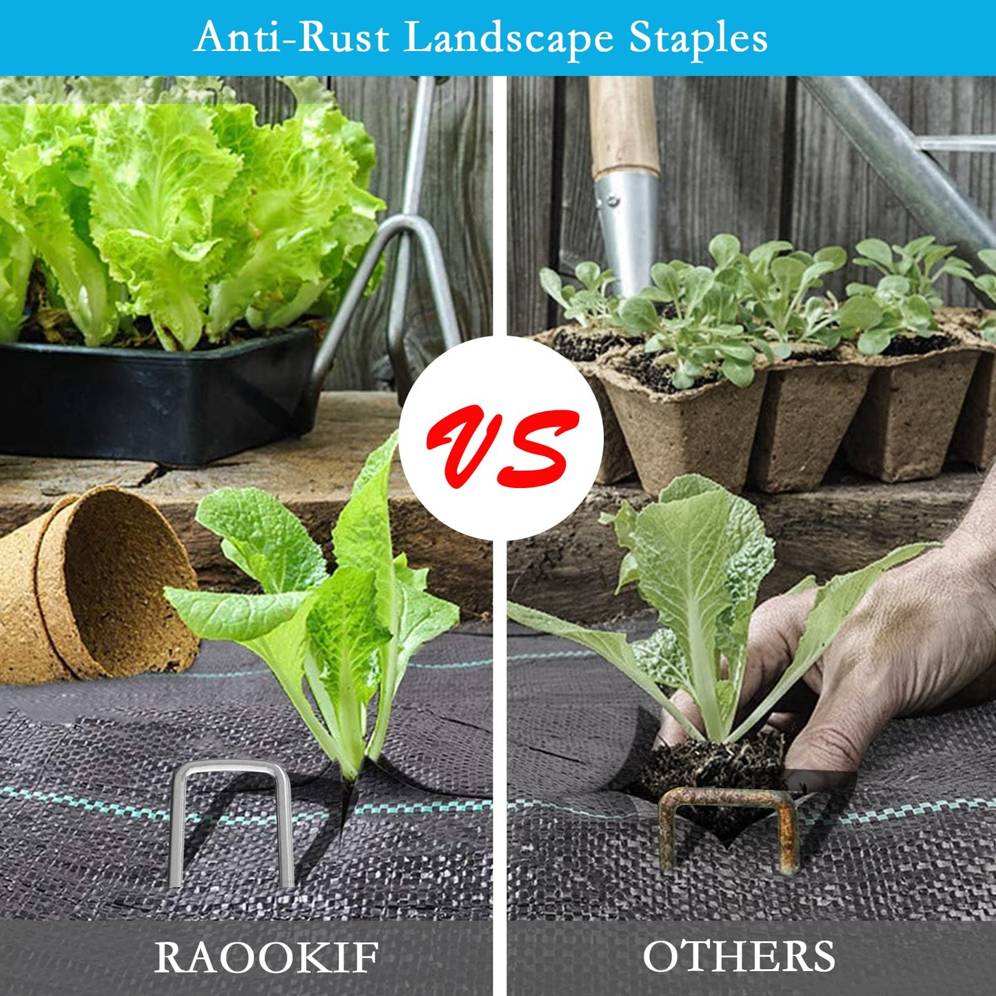 RAOOKIF 8 Inch Galvanized Garden Landscape Staples, 20/50/100/200Pcs Garden Metal Stakes, 11 Gauge Heavy Duty Ground Stakes for Decoration, Fence, Lawn, Fabric Pins