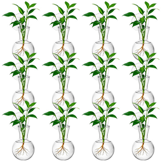 HCEWSBFD 12Pcs Window Propagation Stations Bulb Glass Vases with Suckion Cups Hooks Hydroponics Plant Propagation Vases No Nails Wall Hanging Planter for Water Plant Propagation Rooting Cuttings