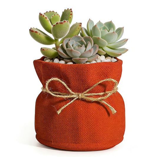 ehuoyan Succulent Pots Flower Pots for Indoor Plants Cute Plant Pots Candy Bowl for Office Key Holder Bowl Farmhouse Table Decor (Orange)