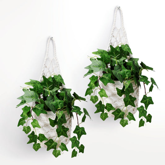 Shineloha 2 Packs Hanging Planters for Indoor Plants up to 6 in., Wall Plant Holder | Plant Hanger Indoor, Wall Planters for Indoor Plants, Hanging Plant (2PK, for 6 inch Pot)
