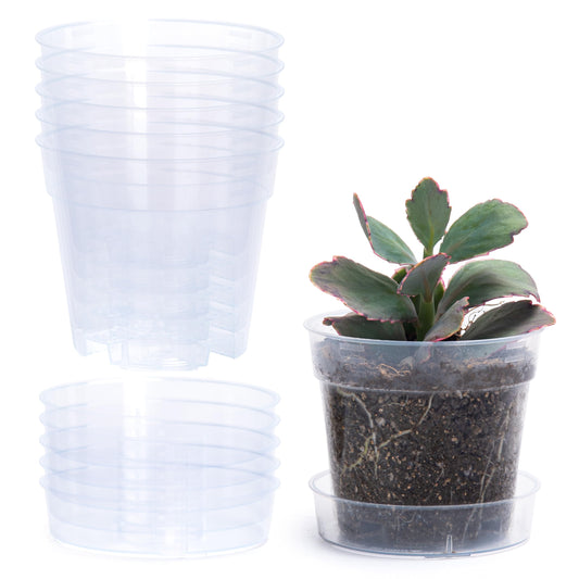4 Inch Clear Plastic Plant Pot with Drainage Holes, Interlocking & Detachable Tray - Deep Saucer - Durable BPA-Free Plastic, Transparent Design, Raised Base for Airflow, Set of 6, 92-X-A-2