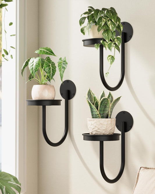 Bamworld Hanging Planters for Indoor Plants Wall Plant Holder Plant Hanger Indoor Wall Planters Window Plant Shelves Hanging Plant Holder Window Plant Hanger Plant Decor Black 3pcs