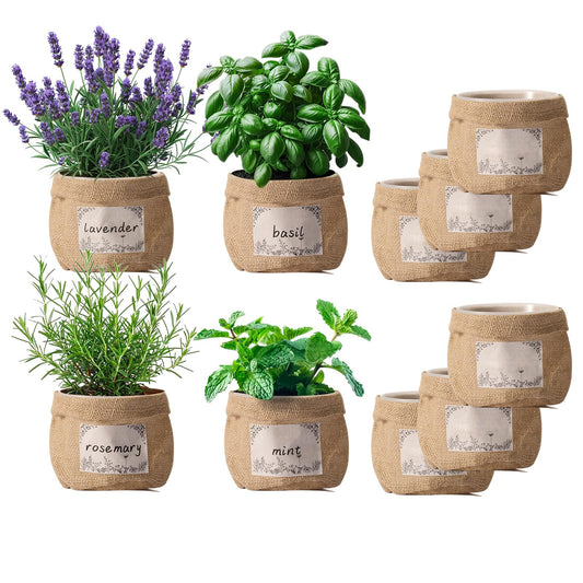 TineDew 10 Sets herb pots for Indoor Plants,5 inch Clear Plastic Plant Pots with Drainage and Saucer,herb planters with Vintage Decorative Burlap Flower-Pot Cover for Windowsill, Kitchen, Balcony