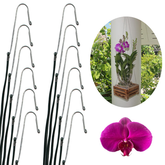 DESQUIGGLE Set of 12 Hanging Wires for Orchid Baskets and Hanging Planters, 31 Inches Long with Strong Steel Hooks and Covered in Light Green Plastic
