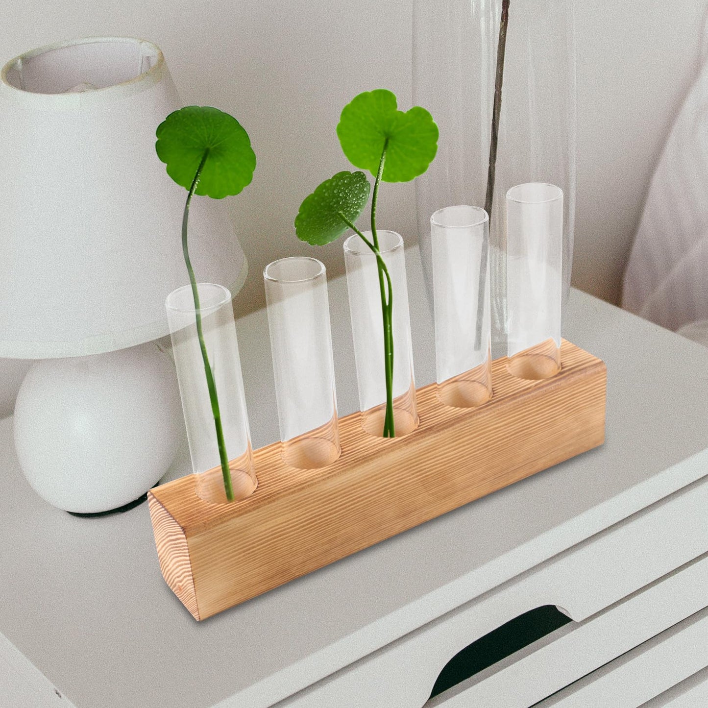 CONGARTENO Glass Test Tube Vase with 5-Hole Wooden Stand Hydroponic Plant Terrarium for Indoor Home Décor and Desktop Plant Holder