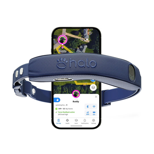 Halo Collar 5 Wireless Dog Fence & GPS Dog Collar, Keep Your Dog Safely Contained Outdoors with App-Controlled Boundaries and Real-Time Tracking, One Size, Midnight