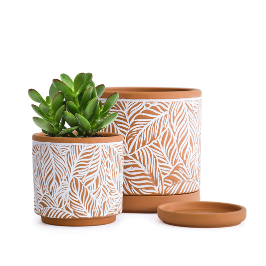 D'vine Dev Set of 2 Terracotta Pots, Leaf Pattern Planter Pot, 4 Inch and 6 Inch, Pot with Drainage Hole and Saucer, Terracotta/White, 31-958-T-1