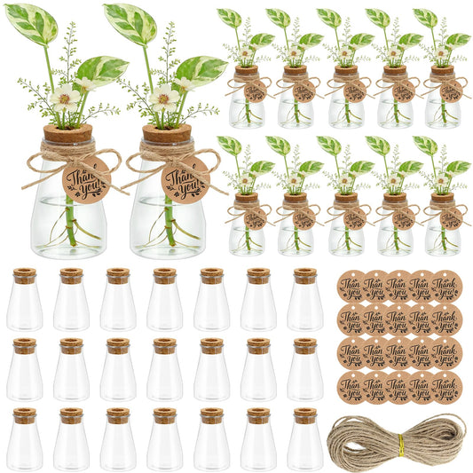 30 Pack Plant Propagation Stations, 3.35'' Plastic Propagation Jars Clear Hydroponic Small Vase Hanging Planter Tube with Cork Lid Tags for Plant Lovers Classroom Office Home Decor Women Garden Gifts