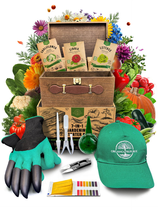 75 Medicinal & Tea Herb Seeds Variety Pack, Garden Seed Starter Kit - Over 47,380 Non-GMO Heirloom Seeds for Planting Herbs and Vegetables, Seed Box with Gardening Supplies, Gardening Gifts