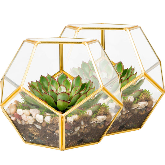 D'Eco Glass Geometric Plant Terrarium (Set of 2) - Indoor Tabletop Gold Sphere Planter Terrarium - Succulents, Air Plants, Moss - Home Garden Office Wedding Decor - Gift Idea for Plant Lovers