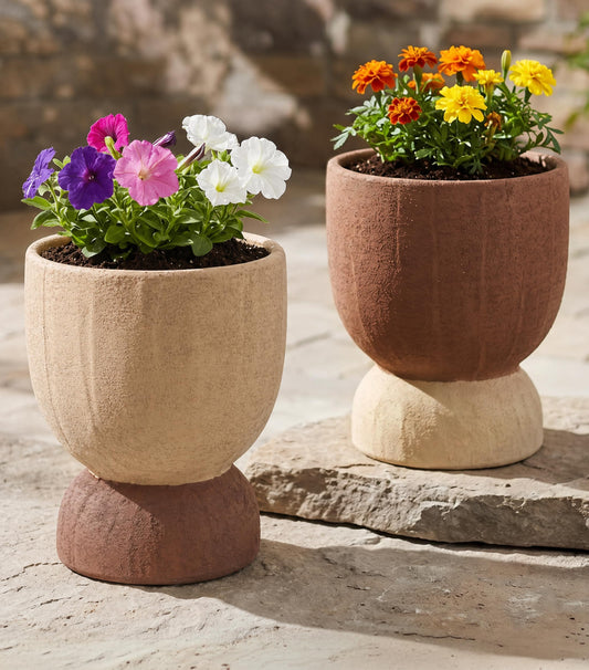 DREAMLOOM Terracotta Planter for Plant Flowers, 6.4Inch Terracotta Pots for Succulents, Bonsai, Fairy Gardens, Herbs, Terra Cotta Color(Rust red)