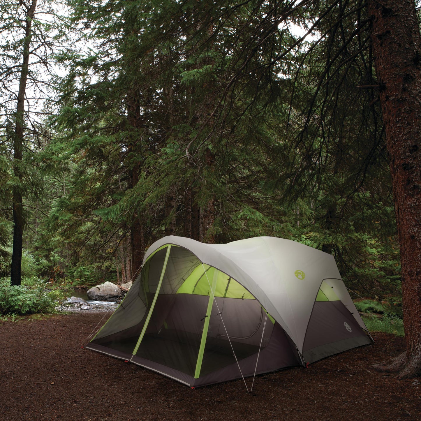 Coleman Steel Creek 6-Person Tent with Screened Porch & Integrated Rainfly, Weatherproof Tent with Screen Room Sets Up in Minutes, Fits Queen-Size Airbed
