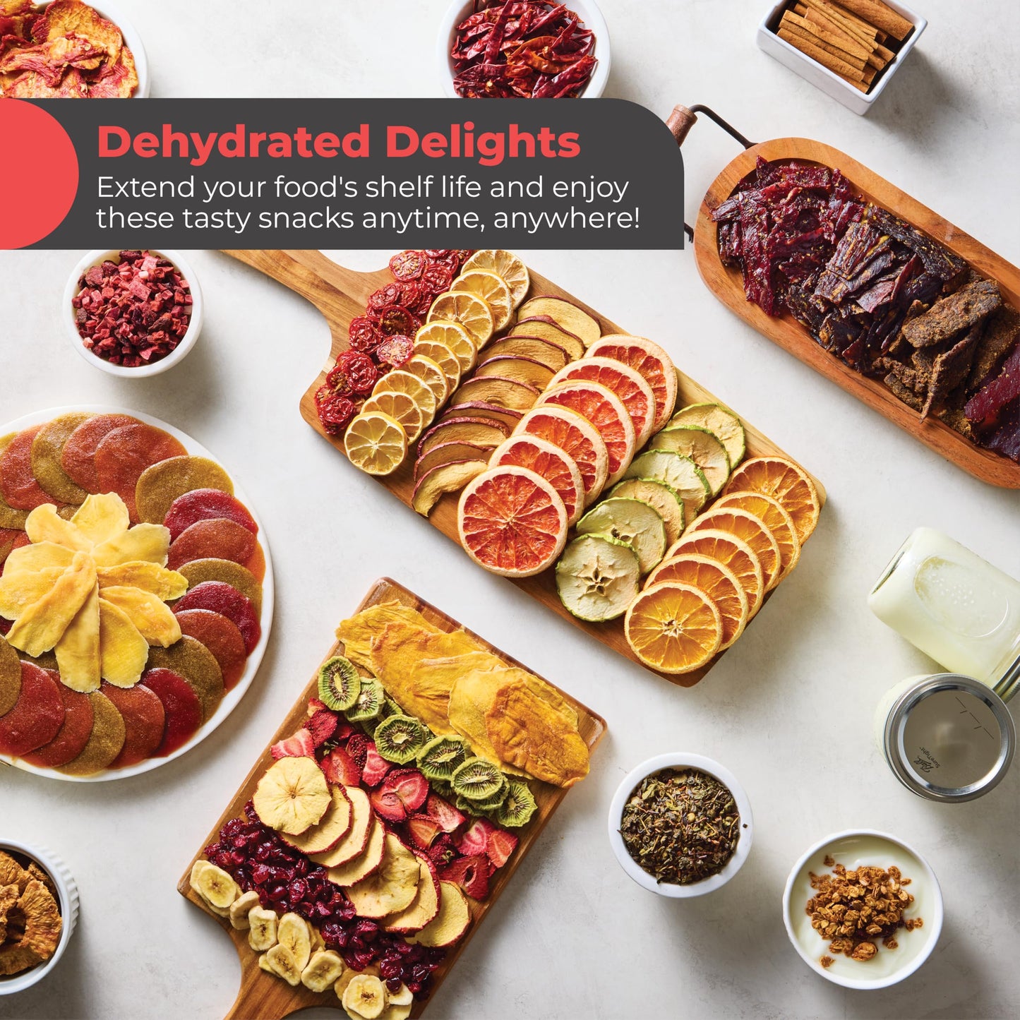 Magic Mill Premium Food Dehydrator Machine (10 Extra-Large Stainless Steel Trays) 700W Dryer for Beef Jerky, Fruits, Vegetables, Dog Treats, 48 Hour Digital Timer - 95°-167° Temperature Control